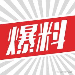 社会爆料案例最新,揭开事件背后惊人真相